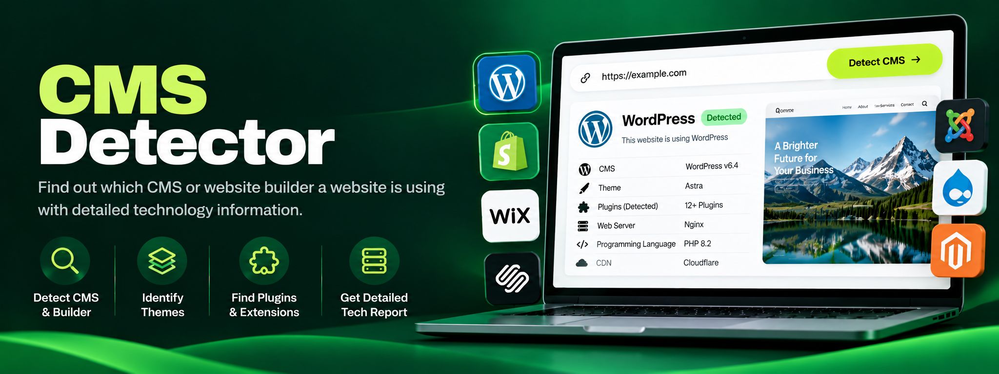 CMS Detector: Find What Powers Any Website